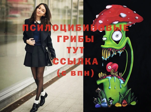мескалин Балахна