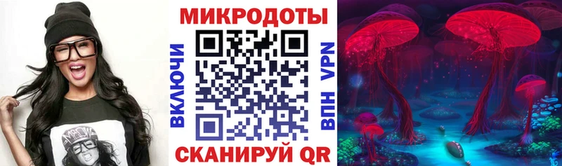 ОМГ ОМГ ТОР  Разумное  Галлюциногенные грибы ЛСД 